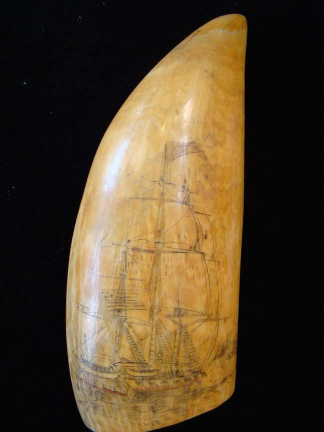 A beautiful 19th century scrimshawed Whale's Tooth circa 1840